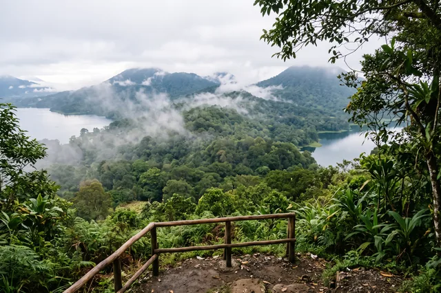 Morning mist over Lake Buyan, Lake Tamblingan and the rainforest above Munduk