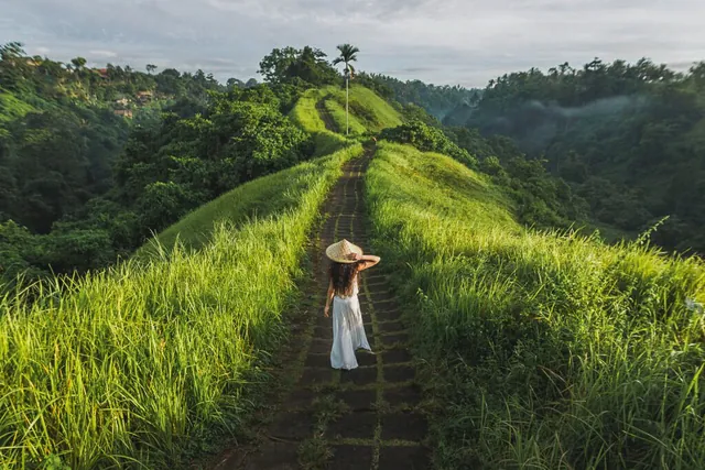 Path along a green ridge near Ubud