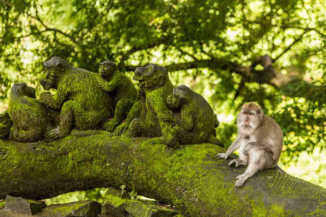 Macaques on statues in the Monkey Forest