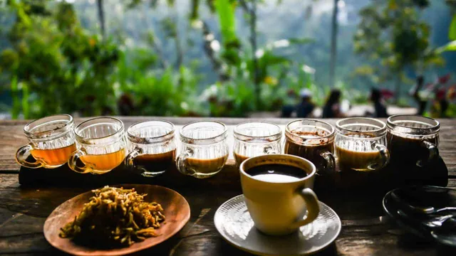 Kopi Luwak coffee tasting