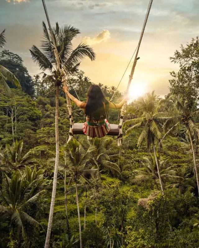 Swing above the jungle
