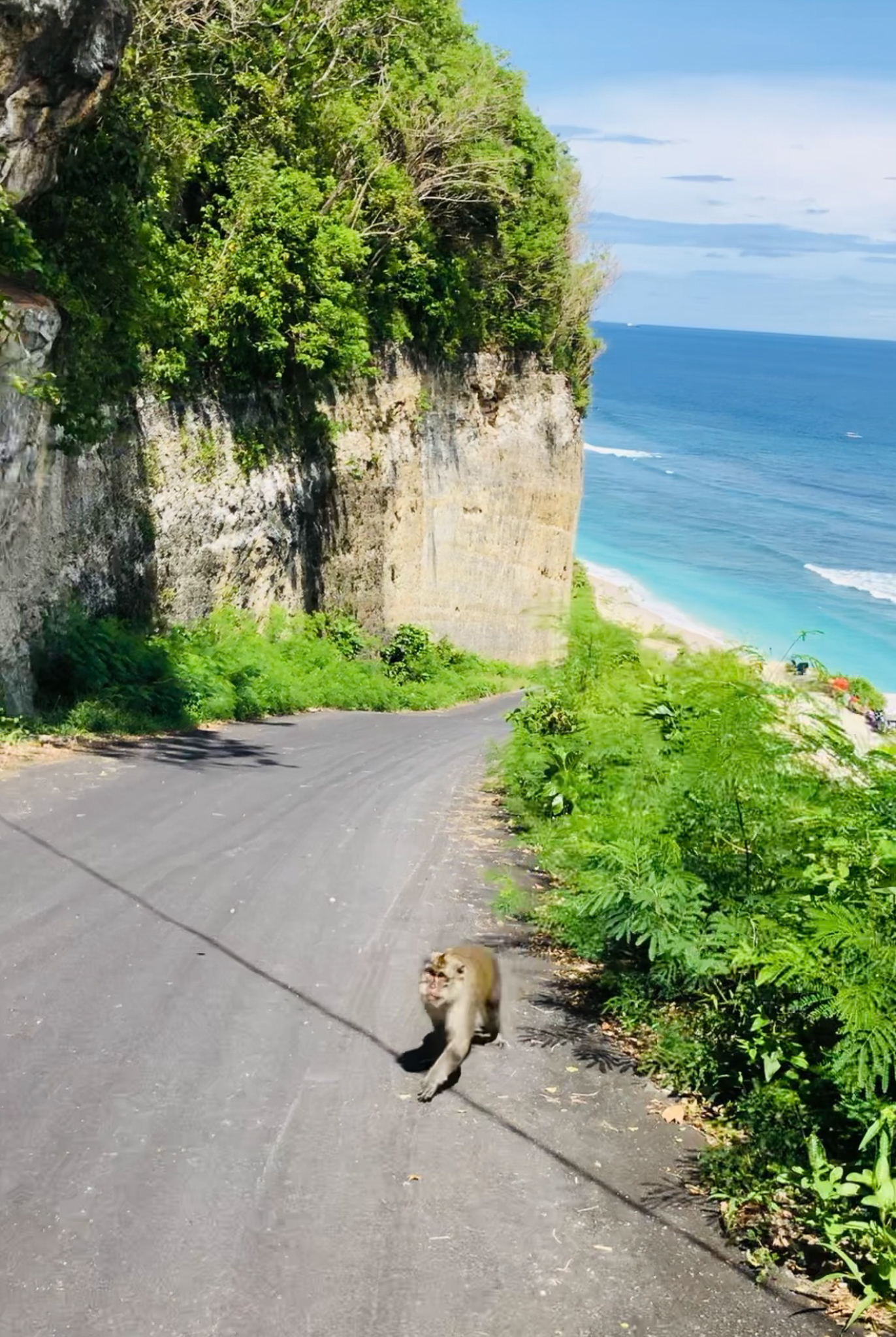 Image in photogallery