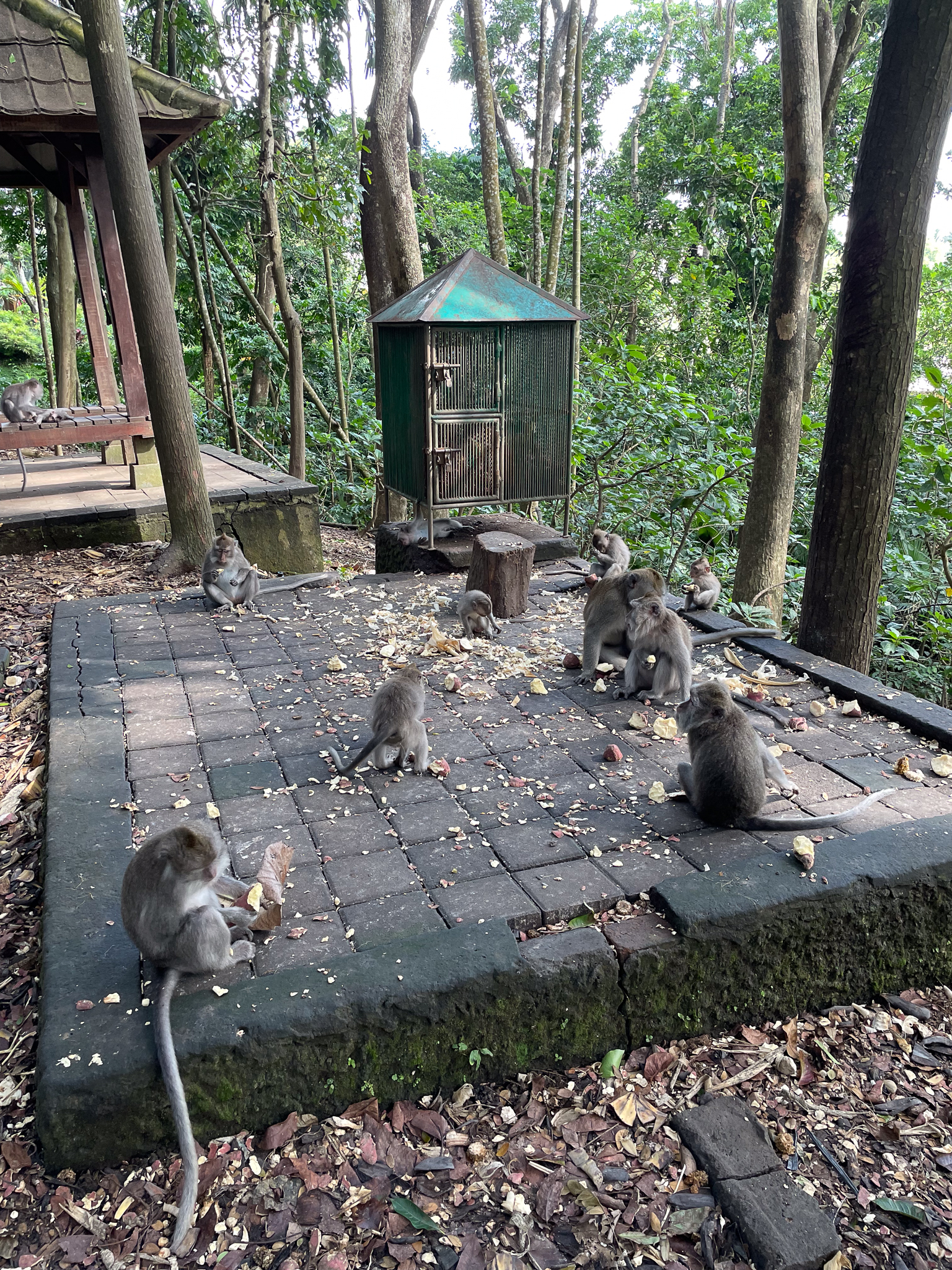 Image in photogallery