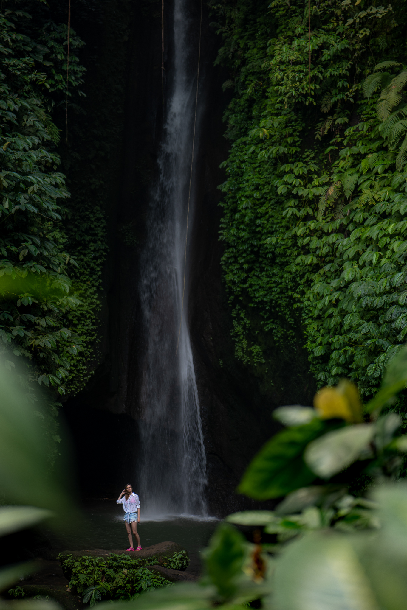 Image in photogallery