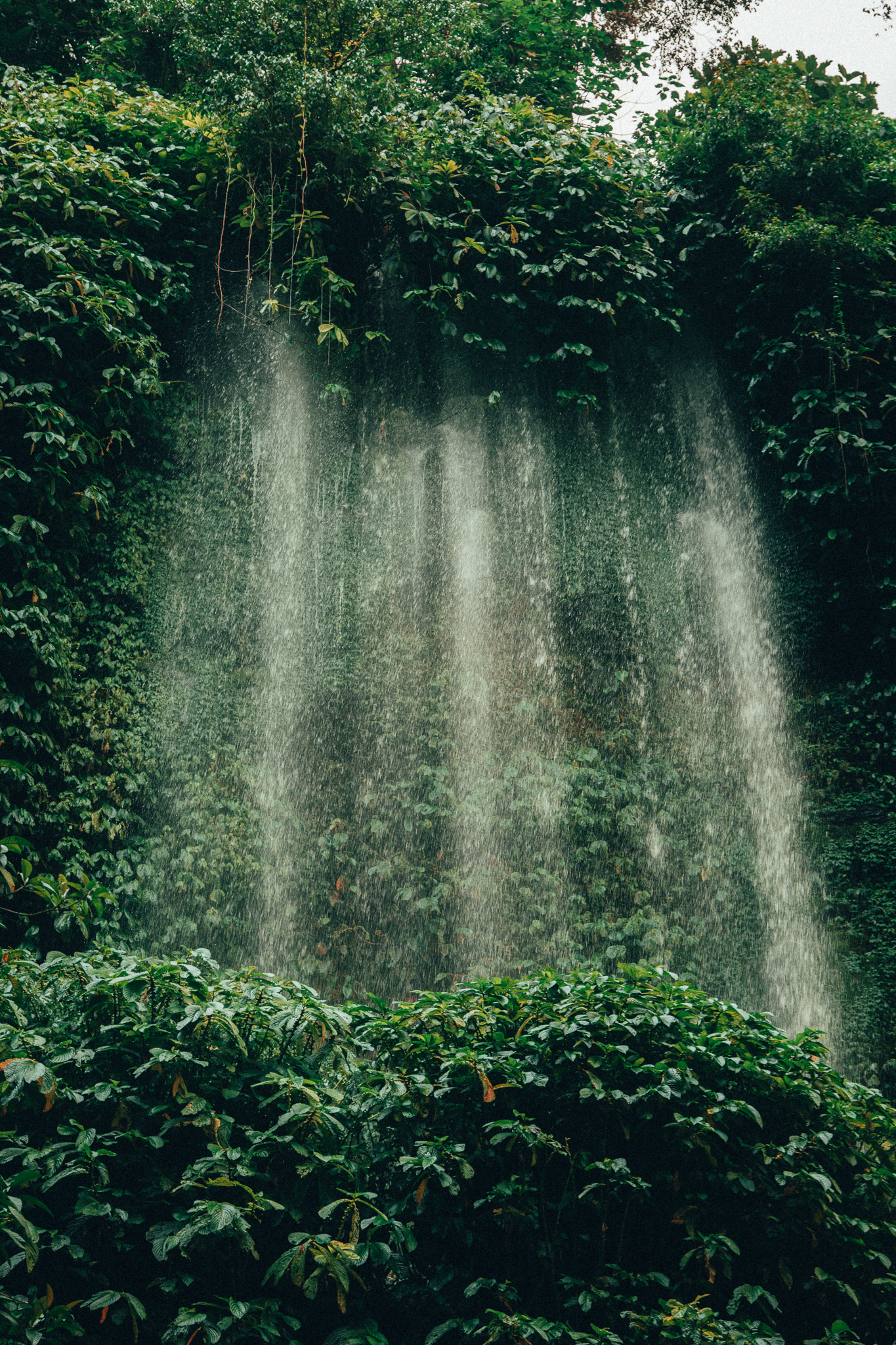 Image in photogallery