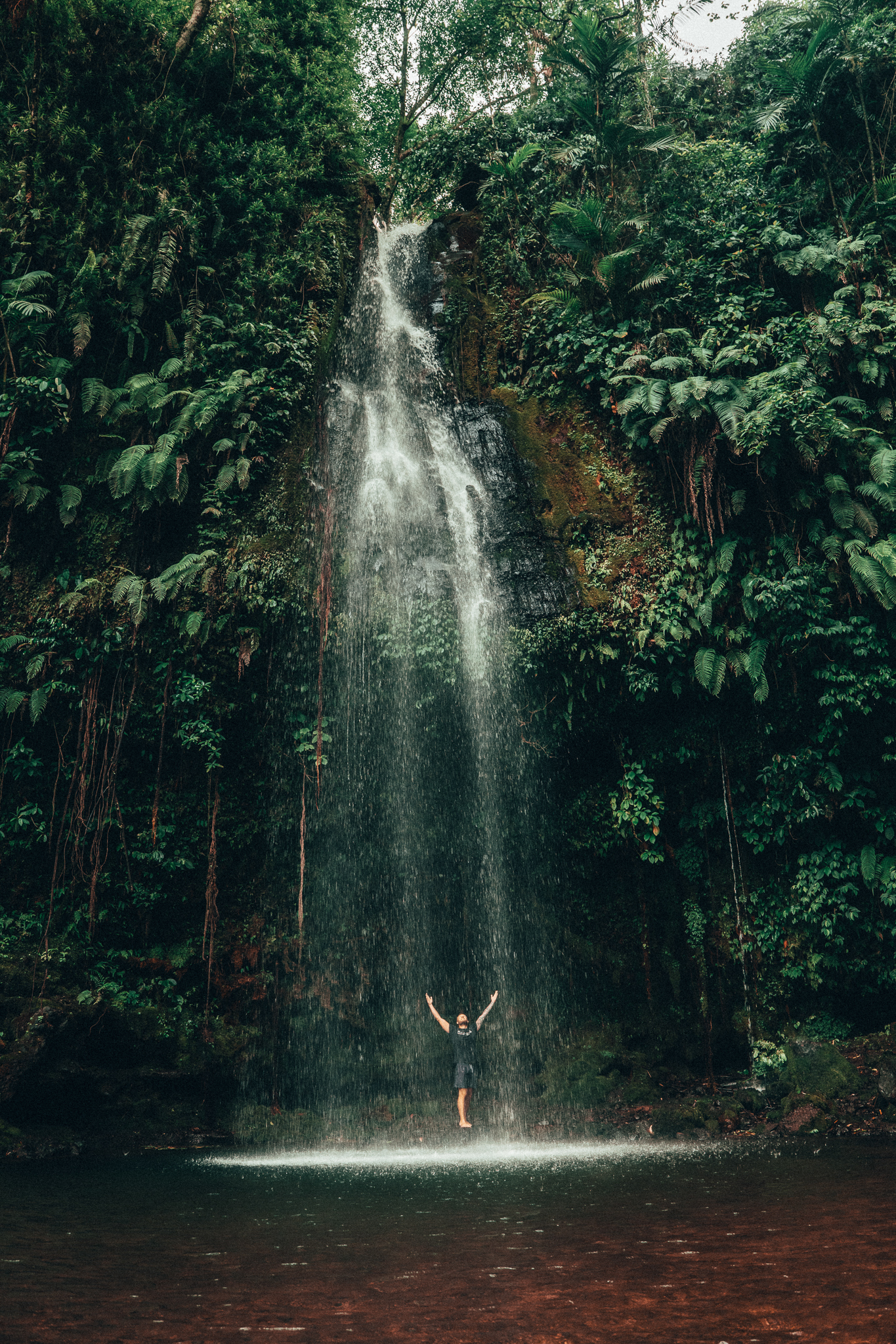 Image in photogallery