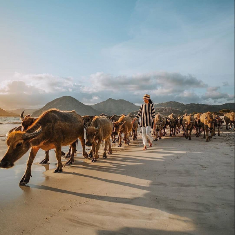 Amaniho epická cesta Indonéziou  BALI / GILI ISLANDS / LOMBOK
